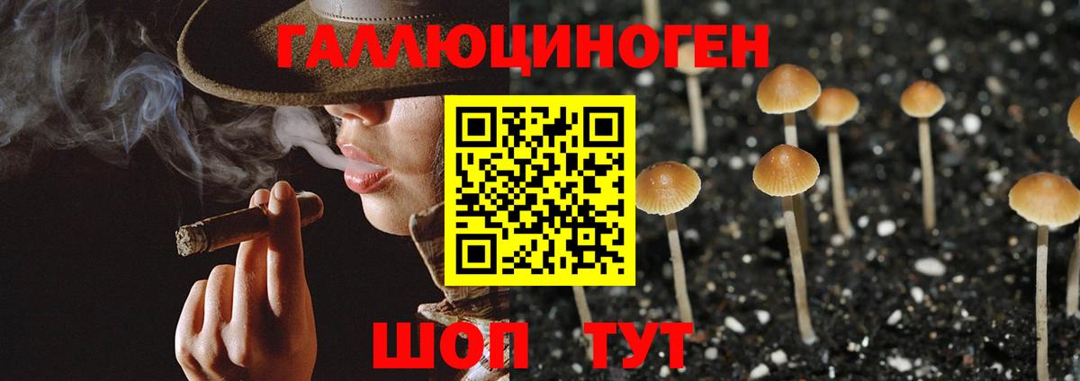Большой Камень  Галлюциногенные грибы Cubensis  Галлюциногенные грибы прущие грибы  Вход с VPN 